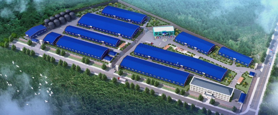 核心技术领先 研发体系完善